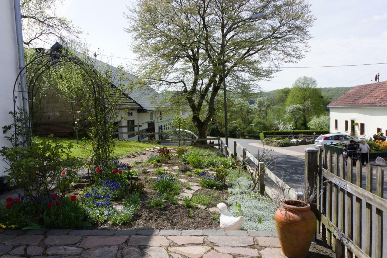 Ferienhaus Vulkaneifel Landhaus Loogh Kerpen  Exterior foto