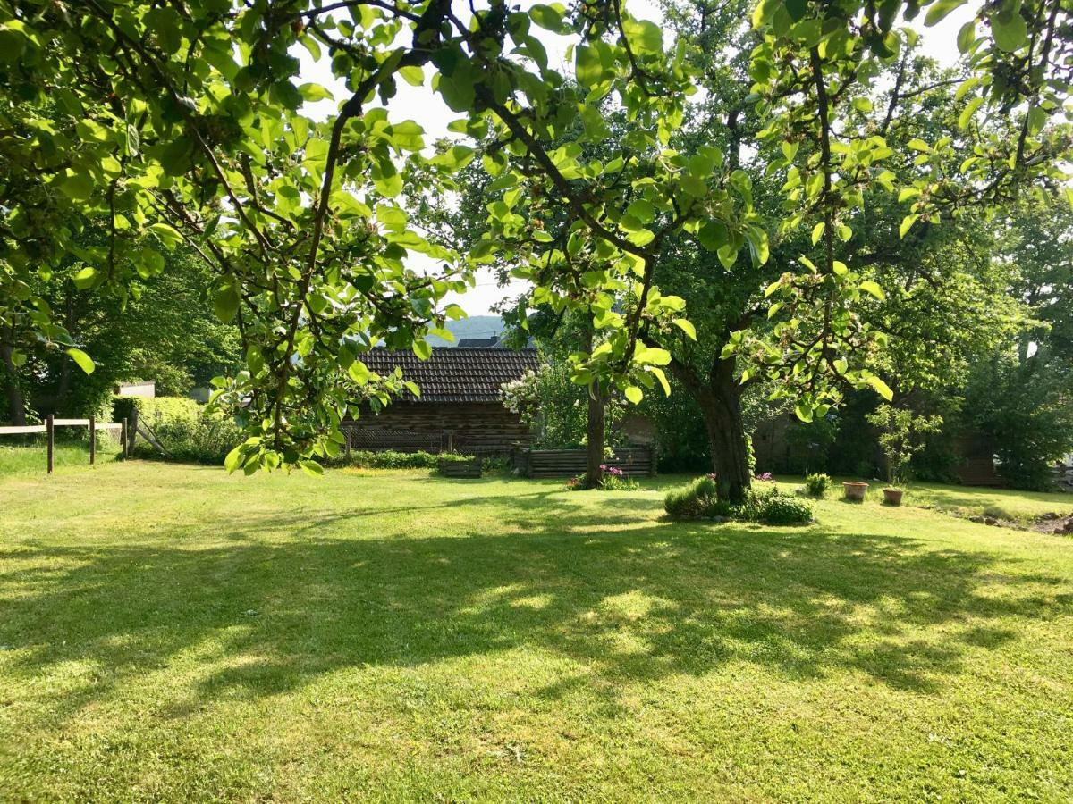 Ferienhaus Vulkaneifel Landhaus Loogh Kerpen  Exterior foto